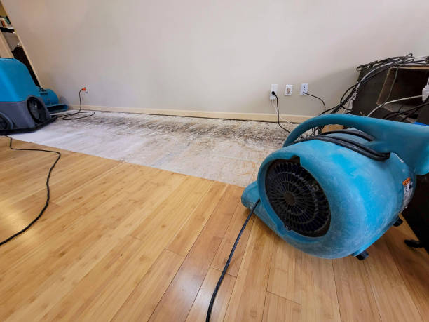 Professional Water Extraction technician working in Hampden, MA